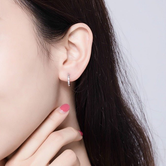 Brinco Argola com Cravejados de Zircônia Prata