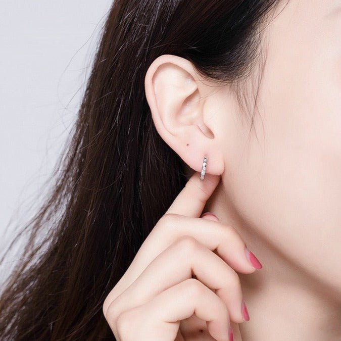 Brinco Argola com Cravejados de Zircônia Prata