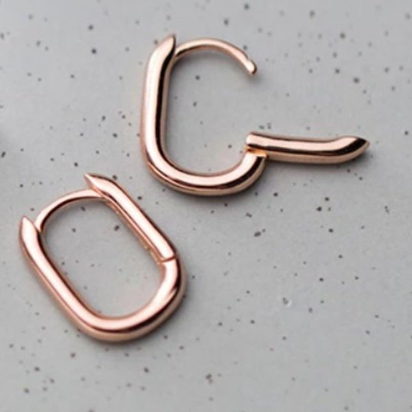 Brinco Prata Argola Oval