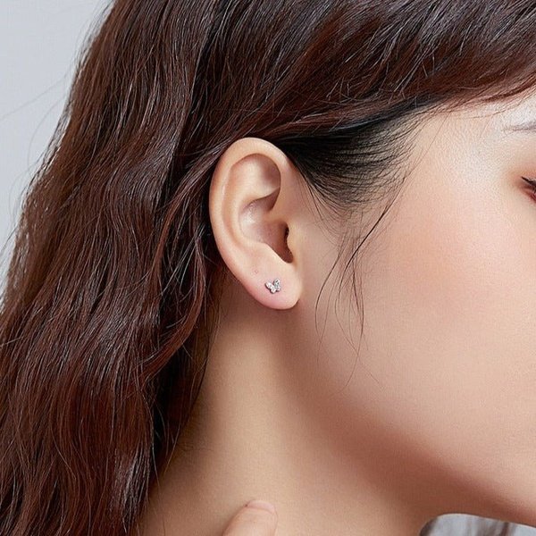 Brinco Delicado Prata